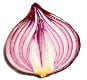 Deep web onion url